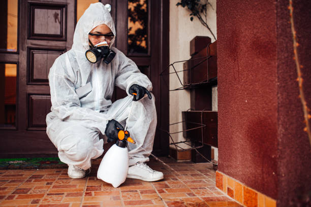 Reliable Ant Control contractor in Shallowater, TX by Show Me Pest Control